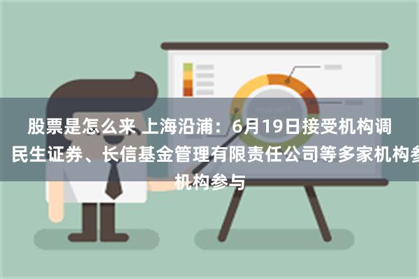 股票是怎么来 上海沿浦：6月19日接受机构调研，民生证券、长信基金管理有限责任公司等多家机构参与