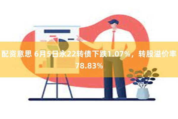 配资意思 6月5日永22转债下跌1.07%，转股溢价率78.83%