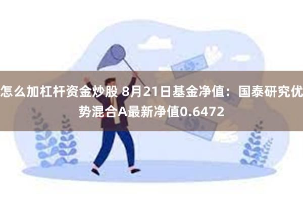 怎么加杠杆资金炒股 8月21日基金净值：国泰研究优势混合A最新净值0.6472