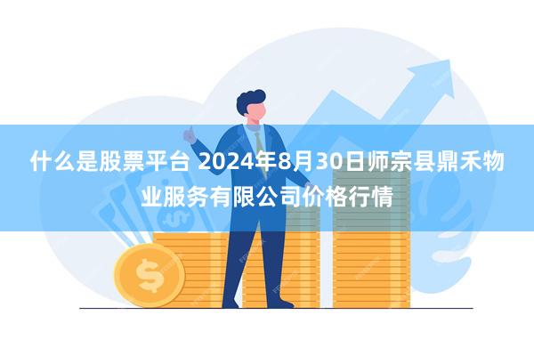 什么是股票平台 2024年8月30日师宗县鼎禾物业服务有限公司价格行情