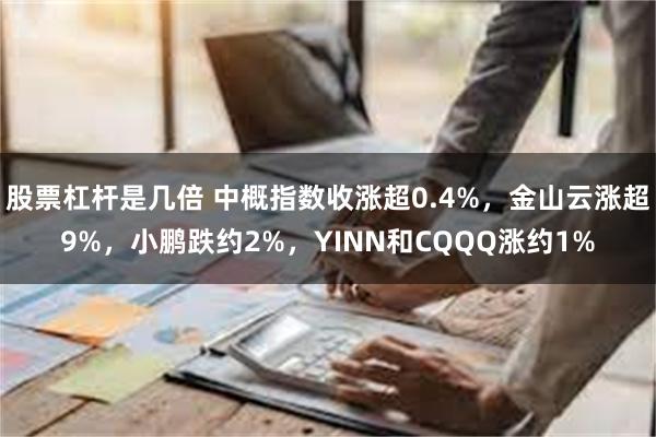 股票杠杆是几倍 中概指数收涨超0.4%，金山云涨超9%，小鹏跌约2%，YINN和CQQQ涨约1%