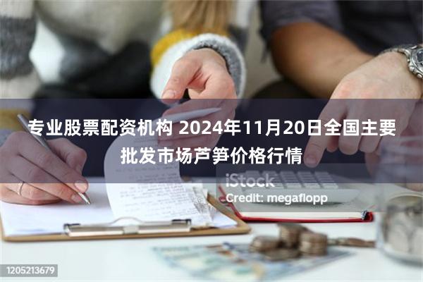 专业股票配资机构 2024年11月20日全国主要批发市场芦笋价格行情