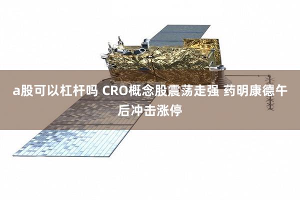 a股可以杠杆吗 CRO概念股震荡走强 药明康德午后冲击涨停