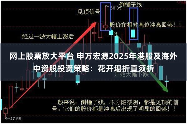 网上股票放大平台 申万宏源2025年港股及海外中资股投资策略：花开堪折直须折