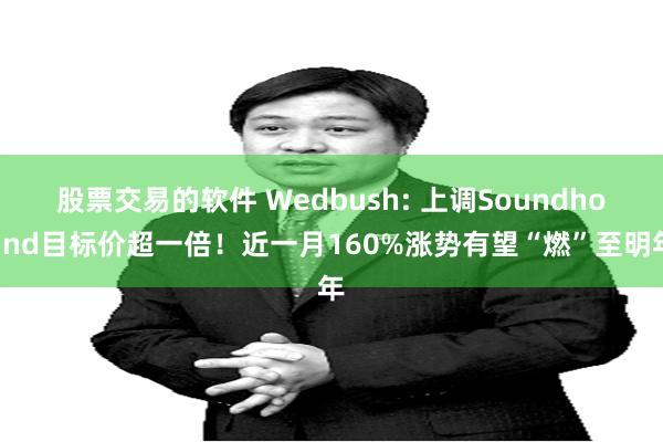 股票交易的软件 Wedbush: 上调Soundhound目标价超一倍！近一月160%涨势有望“燃”至明年