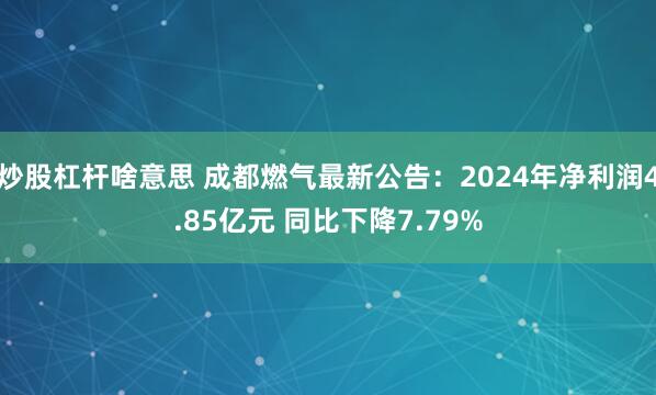 炒股杠杆啥意思 成都燃气最新公告：2024年净利润4.85亿元 同比下降7.79%