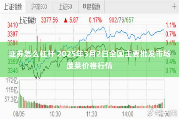 证券怎么杠杆 2025年3月2日全国主要批发市场菠菜价格行情